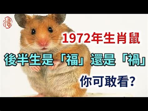 72年次 生肖